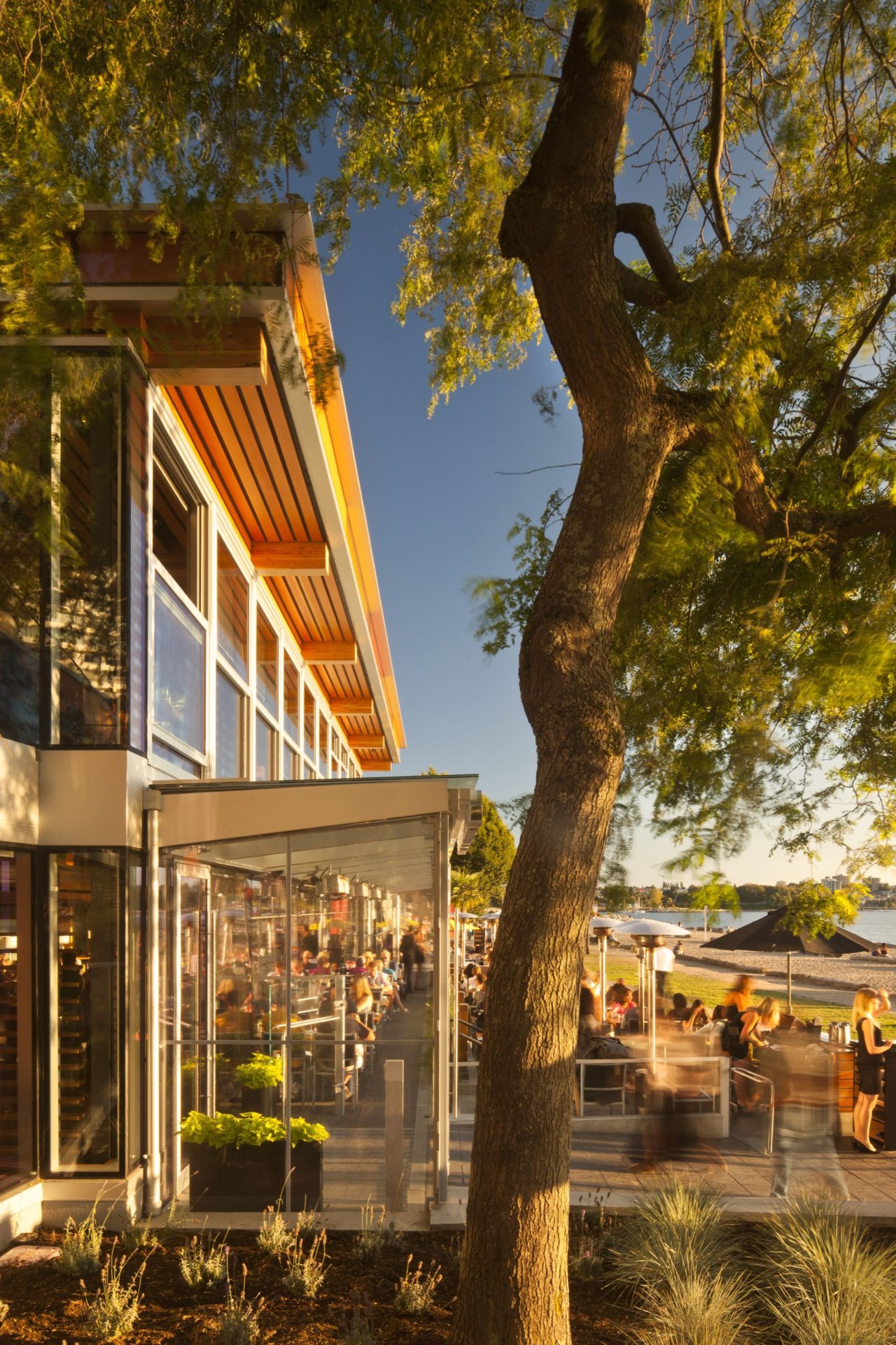 Cactus Club English Bay