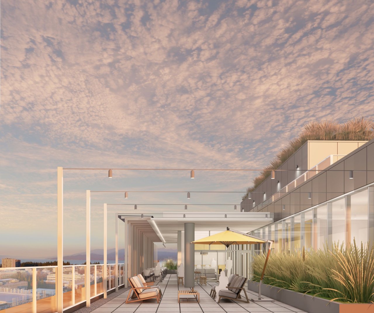 rooftop terrace.